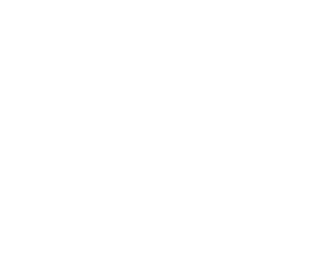 Logo450